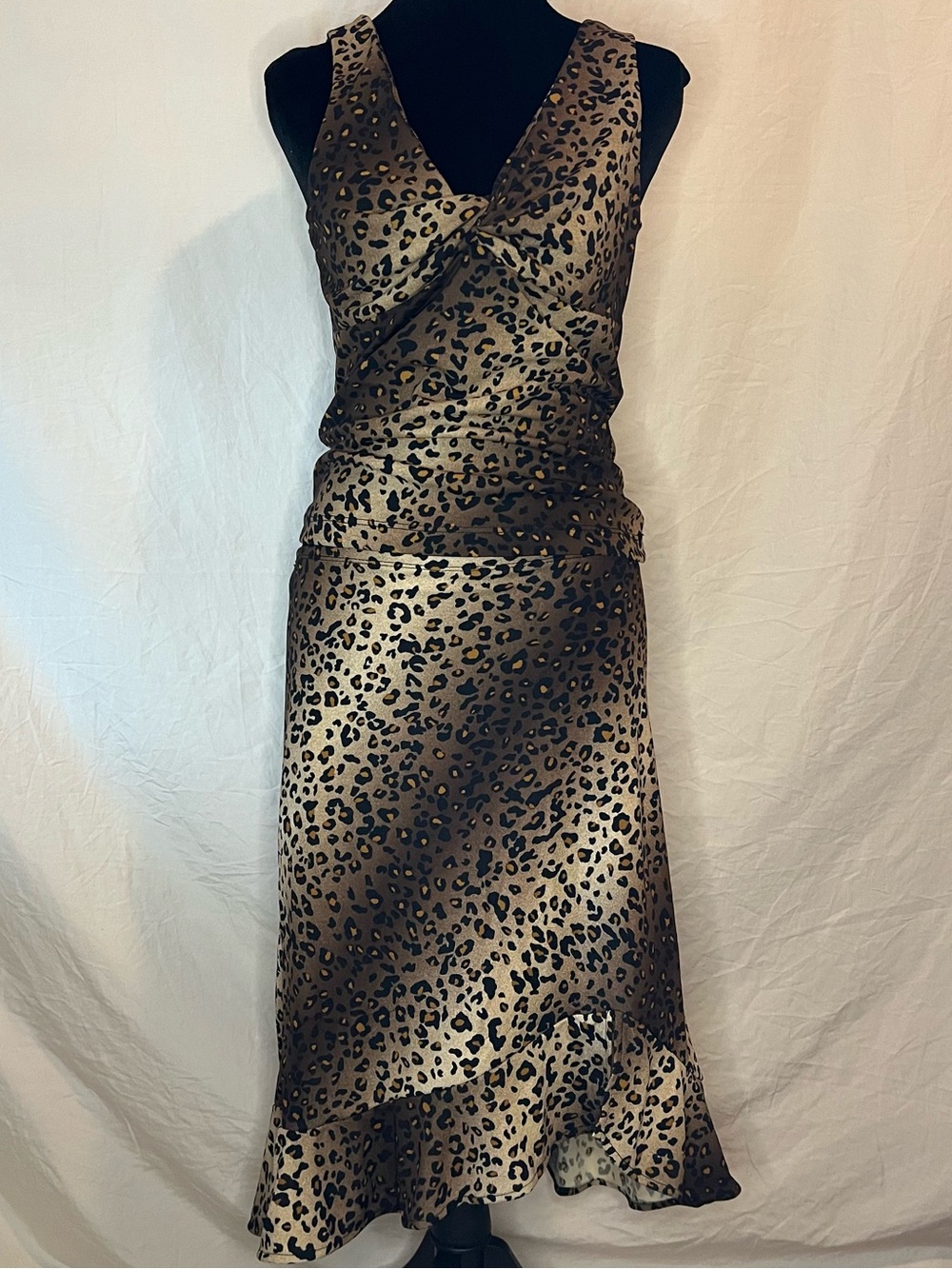 Leopard Print 2 Piece Set in Animal Print